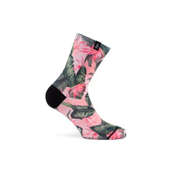 Pacific and Co - Boa Vista Pink (Women)