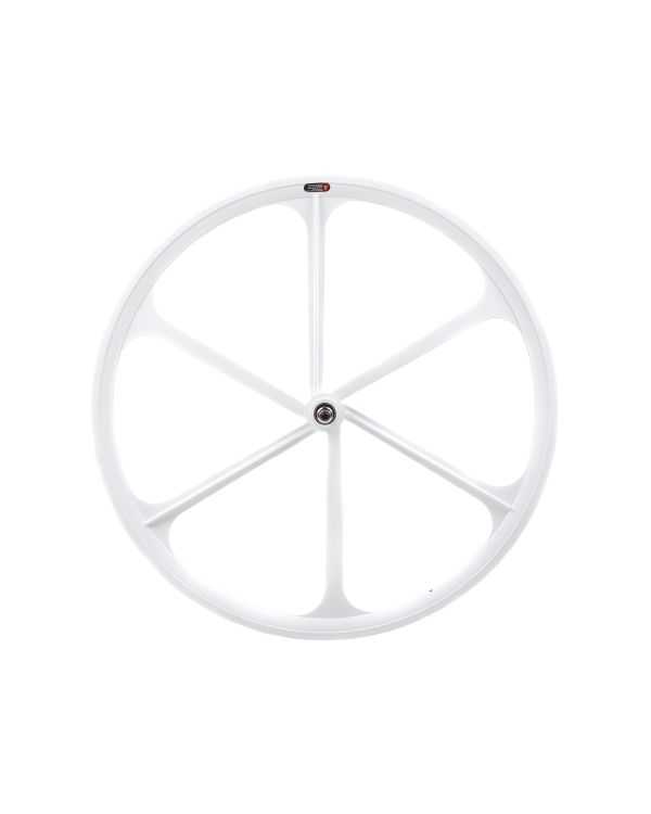 Teny 6 Spoke Front Wheel - White
