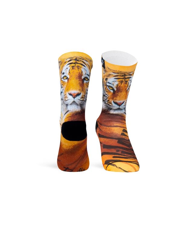 Pacific and Co - Tiger