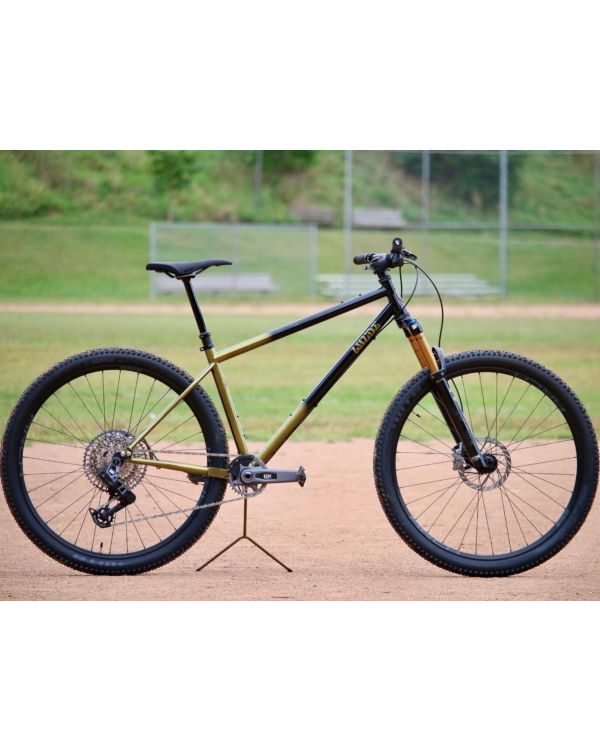 Wilde Dark Star Frame Gold/Sparkle Black (Frame only)